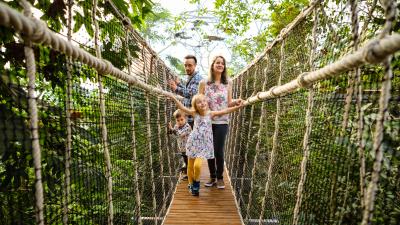 Family crossing wobbly bridge in the Rainforest Biome